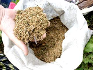Житель Предгорного района хранил свыше тонны марихуаны