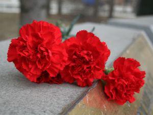 В Ставрополе почтят память погибших в радиационных катастрофах
